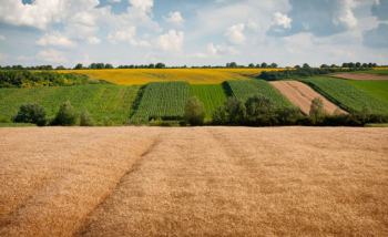 МПЗ менше за мінімальний розмір: особливості заповнення граф 7–12 додатка 3 для юросіб - платників ЄП 4 групи 