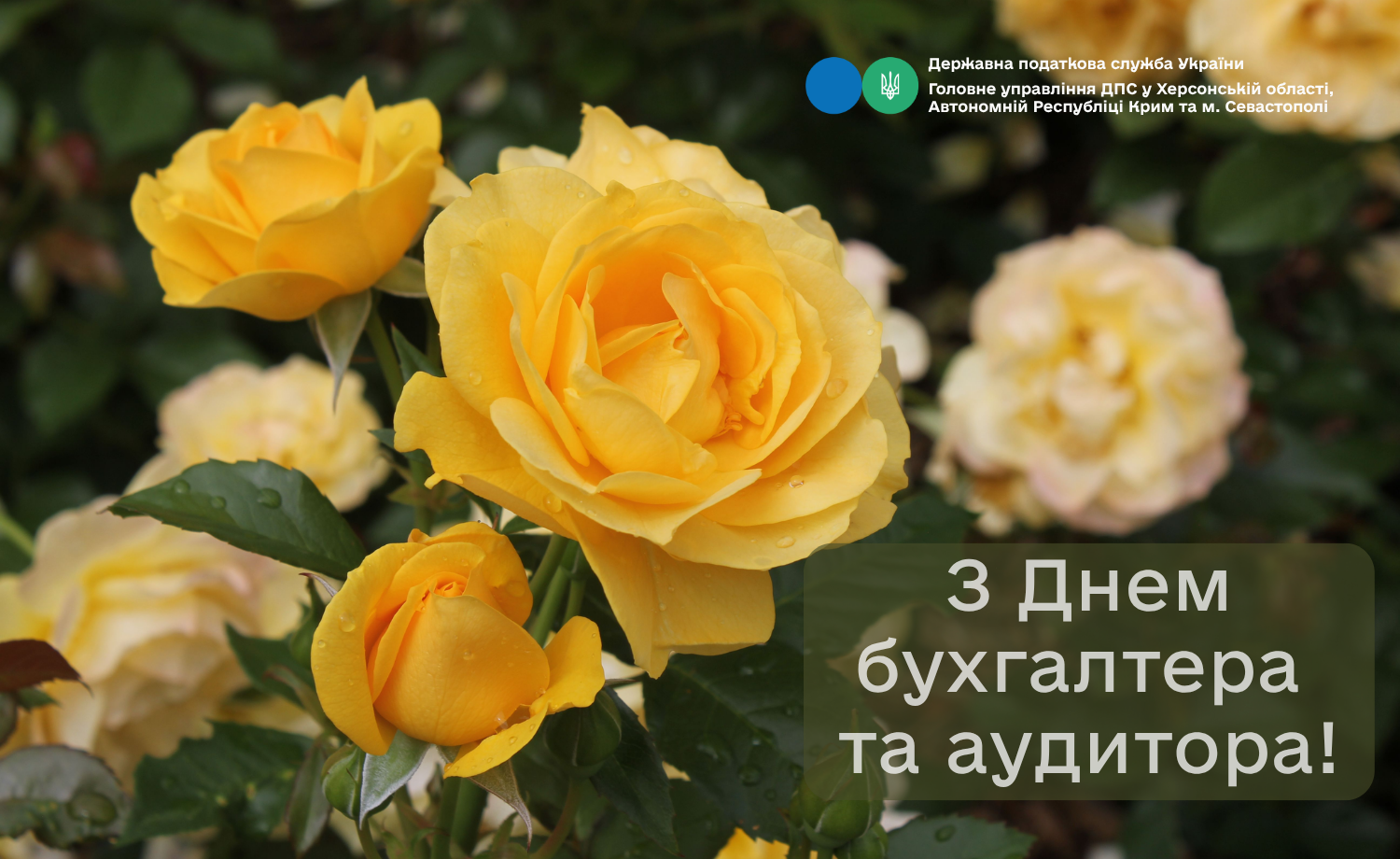 Вітання з Днем бухгалтера та аудитора